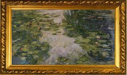 Water Lilies