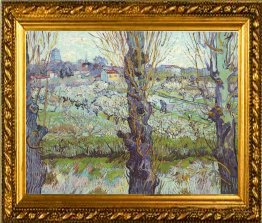 Flowering Orchards