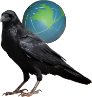 Crow with a globe on its back