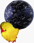 Marjorie with a star globe on her back