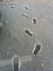 Hard to be stealthy!
