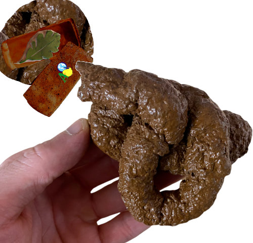 Fake poo!